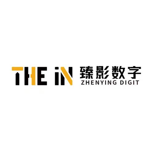 湖南臻影數字科技 匠心鑄就信息系統集成的智慧橋梁